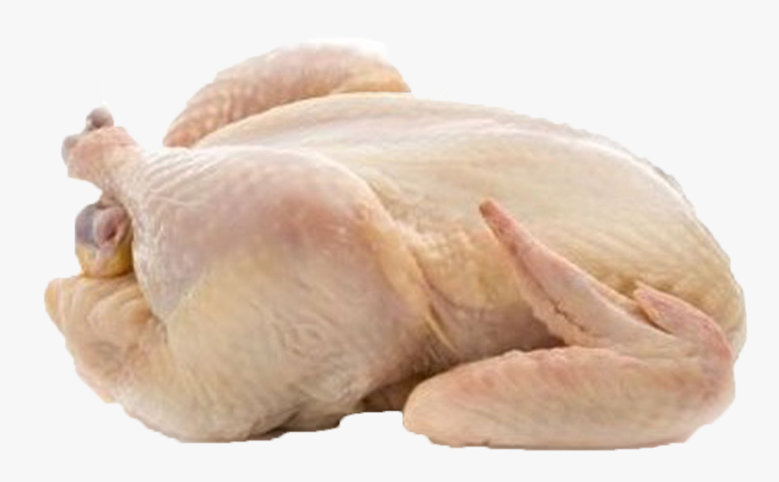 Chicken Png Free Background - Poultry Products, Transparent Png, Free Download