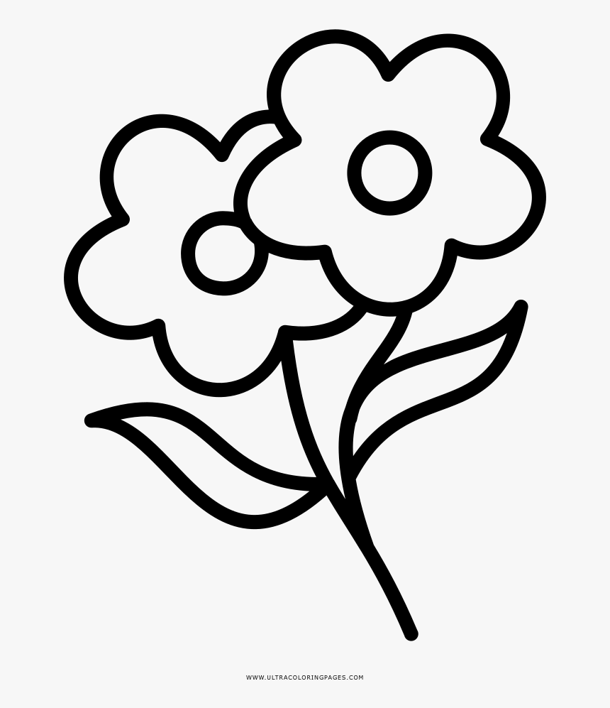 Flores Página Para Colorear - Flower Coloring Png, Transparent Png, Free Download