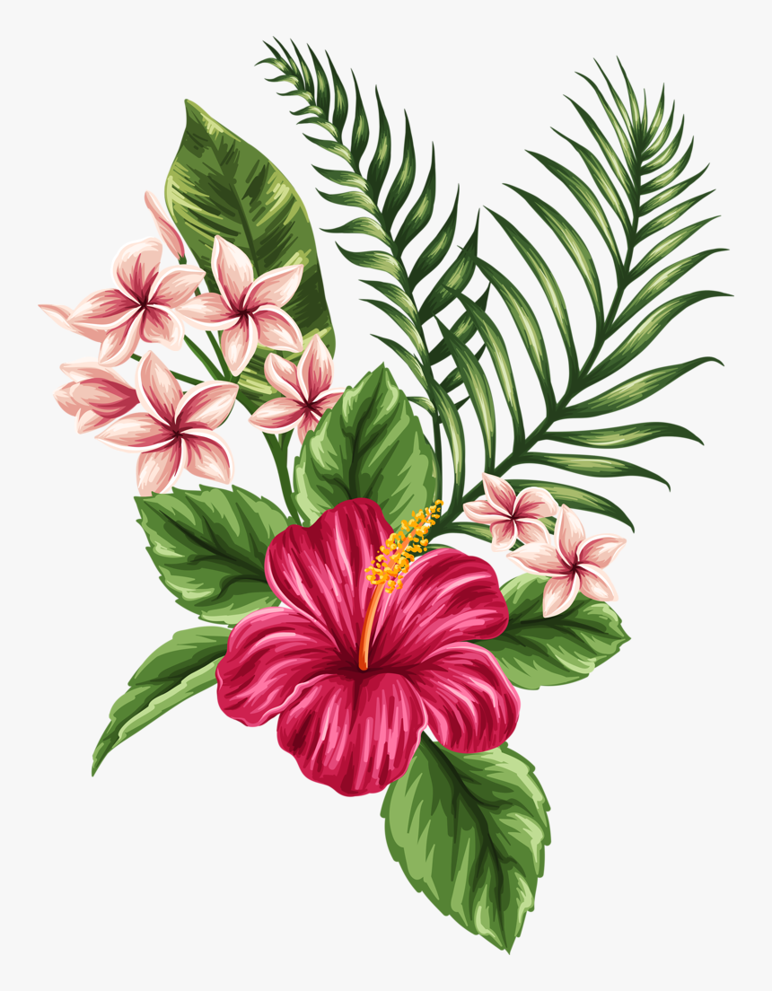 Tropicheskie Flower Tattoos Dibujos De Flores, Flores - Hibiscus Hawaiian  Flower Drawing, HD Png Download - kindpng
