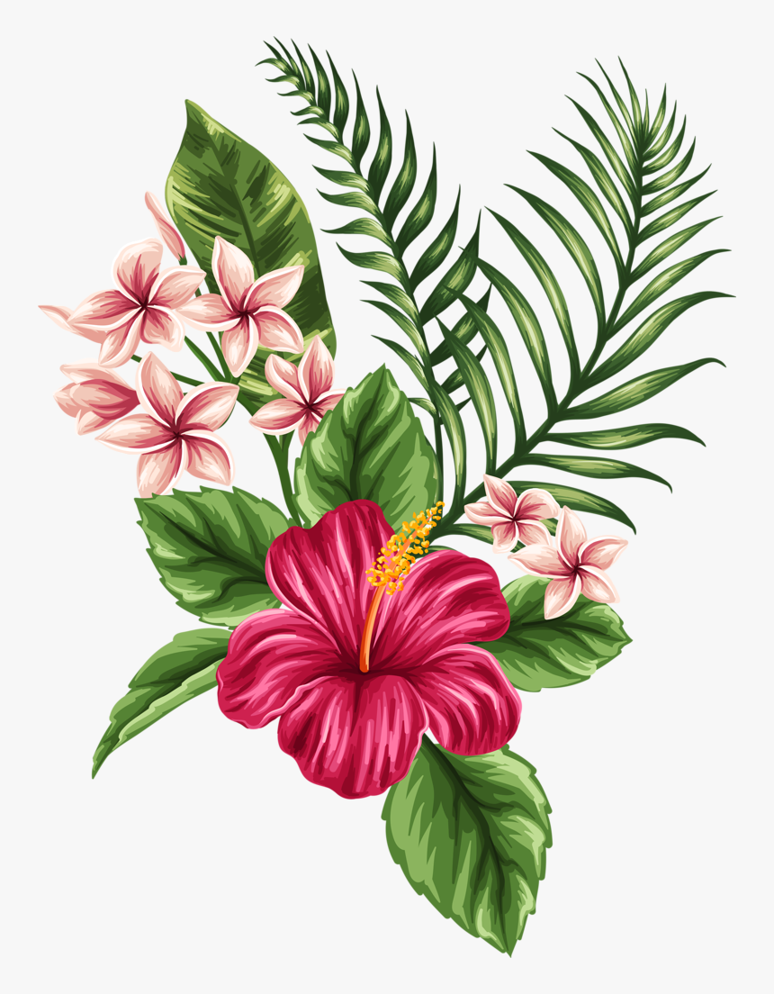 Tropicheskie Flower Tattoos Dibujos De Flores, Flores - Hibiscus Hawaiian Flower Drawing, HD Png Download - kindpng Tropicheskie Flower Tattoos Dibujos De Flores, Flores - Hibiscus Hawaiian Flower Drawing, HD Png Download - kindpng