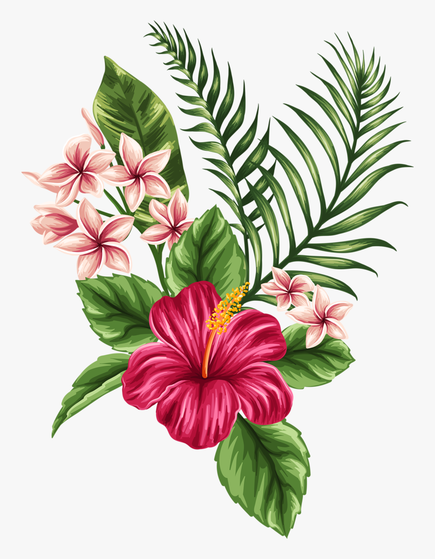 Tropicheskie Flower Tattoos Dibujos De Flores, Flores - Hibiscus Hawaiian Flower Drawing, HD Png Download, Free Download