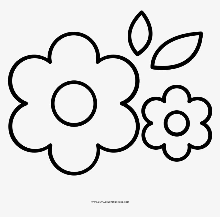 Flores Página Para Colorear - Flores Para Dibujar Png, Transparent Png, Free Download