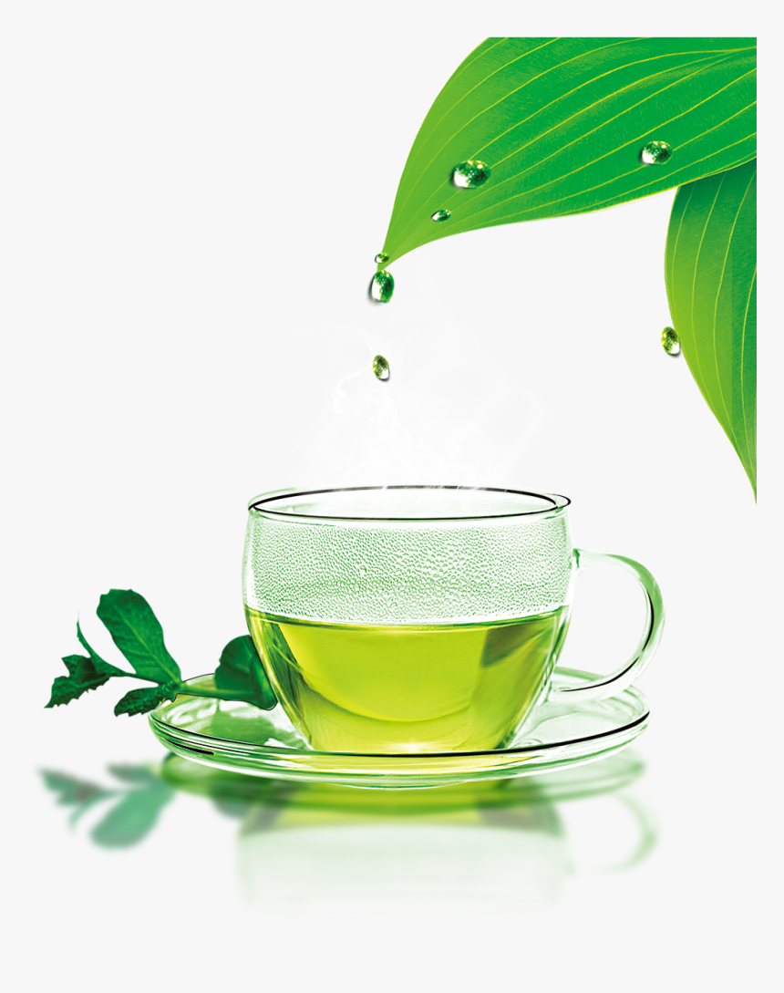 Green Tea Png Download Image - Hot Cup Of Green Tea, Transparent Png, Free Download