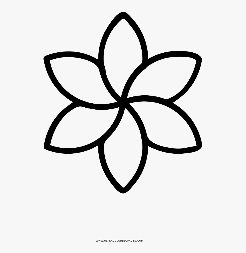Flores Página Para Colorear - Daffodil Logo, HD Png Download, Free Download