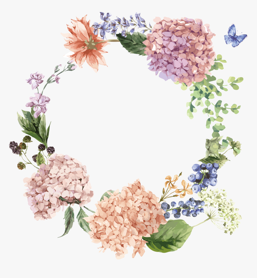 Flower Illustration The - Hydrangea Png, Transparent Png, Free Download