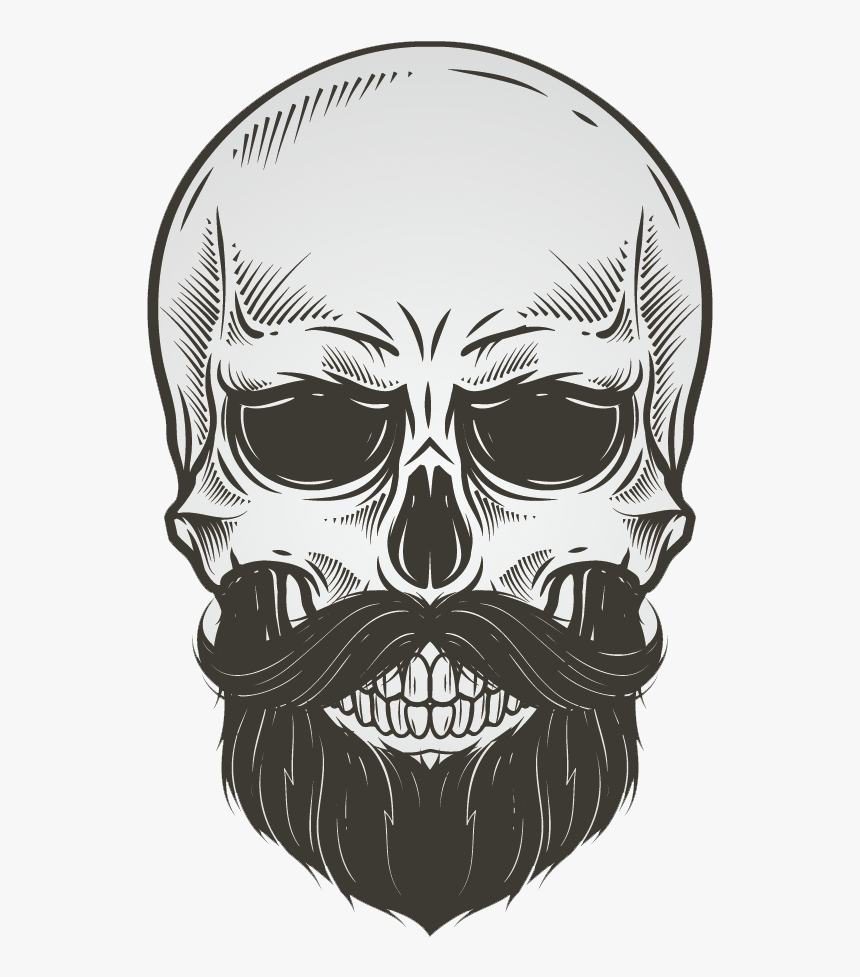 Bearded Skull Illustration Vector Drawing Beard Clipart - Skull With A Beard, HD Png Download, Free Download