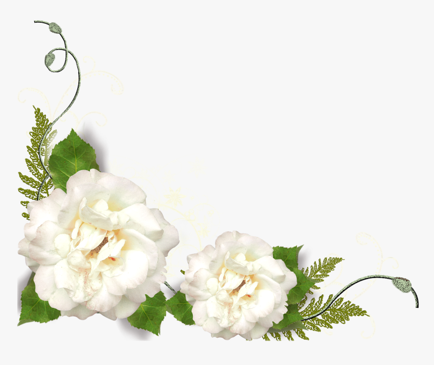 Flores Blancas Png - White Rose Border Png, Transparent Png, Free Download