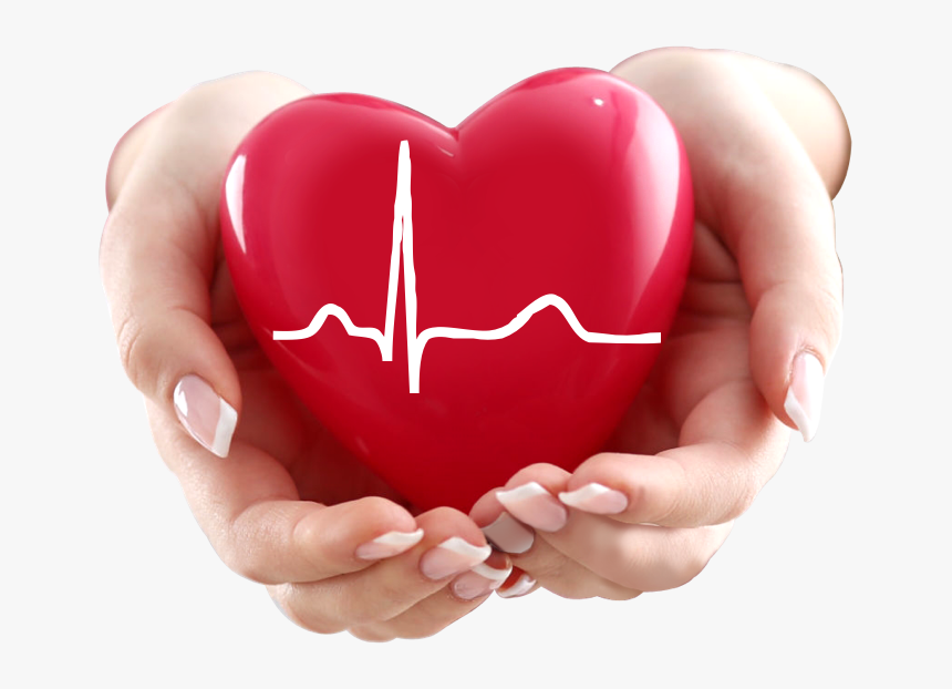 Cardiovascular Care - Medical Heart Images Hd, HD Png Download, Free Download