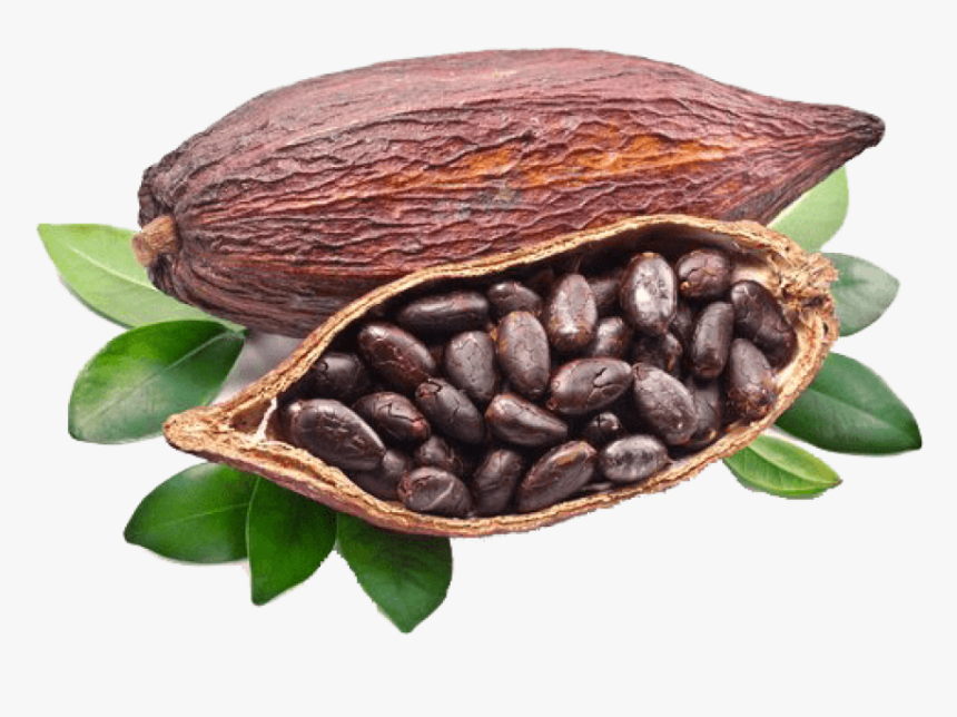 Cocoa Beans Grown Around The World , Png Download - Cocoa Pod, Transparent Png, Free Download