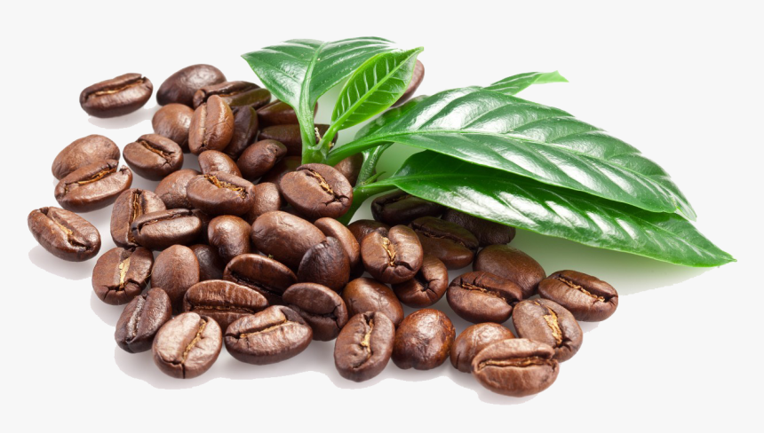 Coffee Bean Espresso Caffxe8 Macchiato - Coffee Bean Png File, Transparent Png, Free Download