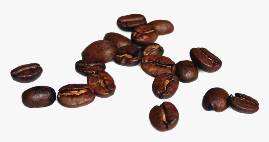 Caffeine,bean,jamaican Blue Mountain Coffee,java Coffee,food,cocoa - Coffee Bean High Resolution, HD Png Download, Free Download