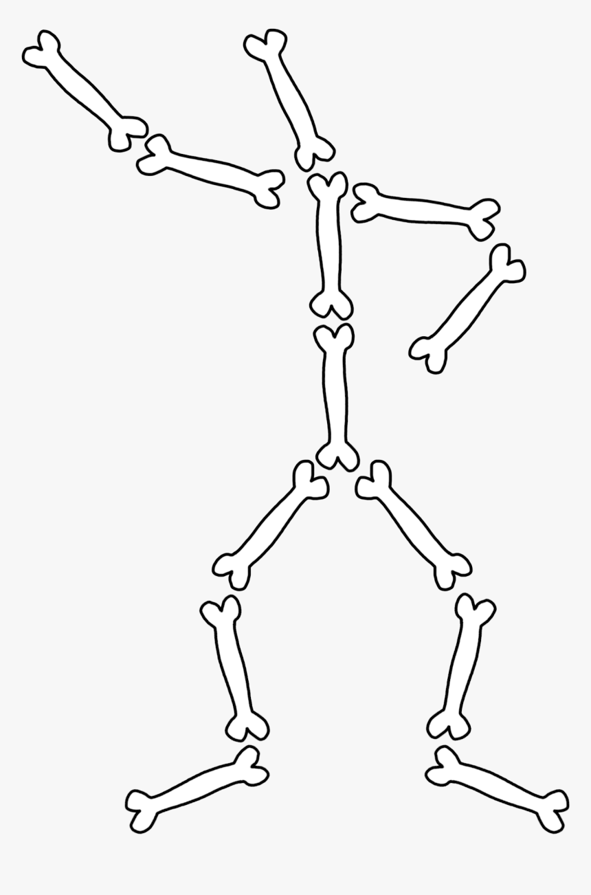 Skeleton Bones To Draw, HD Png Download, Free Download