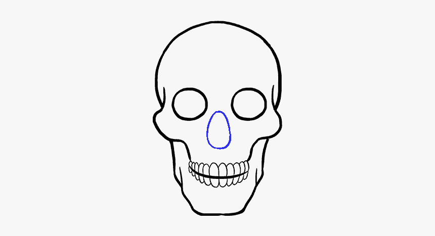 How To Draw Skull - Drawing, HD Png Download, Free Download