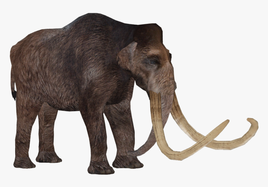 Thumb Image - Wooly Mammoth Png, Transparent Png, Free Download