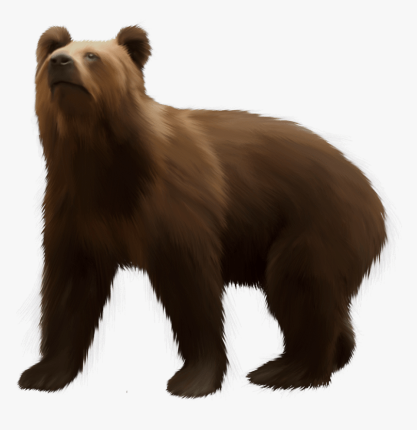 Png Clip Art Best - Brown Bear Transparent & Png Clipart, Png Download, Free Download