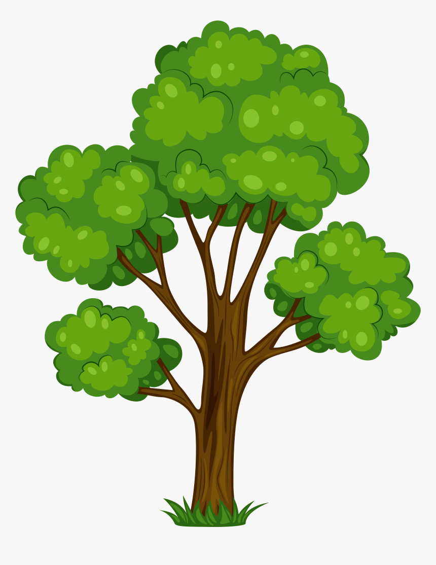 Transparent Plant Grow Clipart - Masha And The Bear Tree, HD Png Download, Free Download