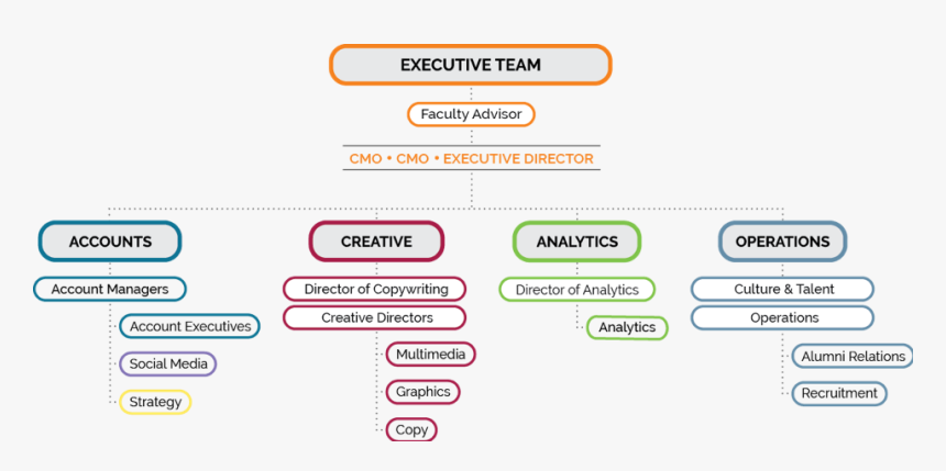 Org Chart - Creative Team Organizational Chart, HD Png Download, Free Download