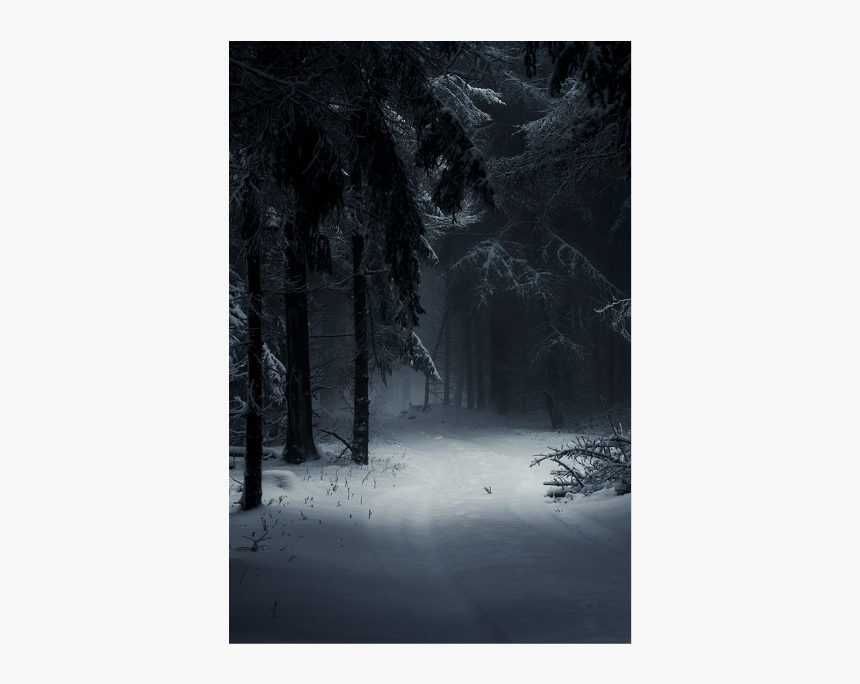 #bosque #nieve #noche #oscuridad 
#forest #snow #nigth - Dark Snowy Forest Drawing, HD Png Download, Free Download