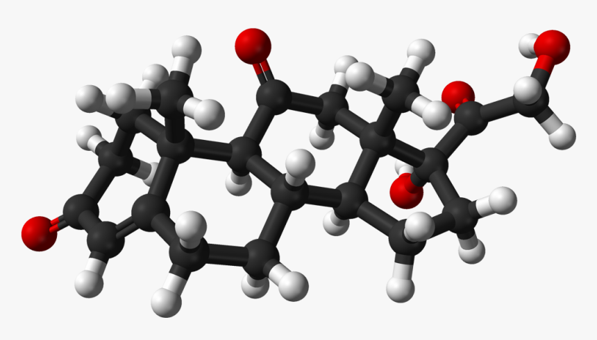 Cortisone 3d Balls - Cortisone 3d Structure, HD Png Download, Free Download