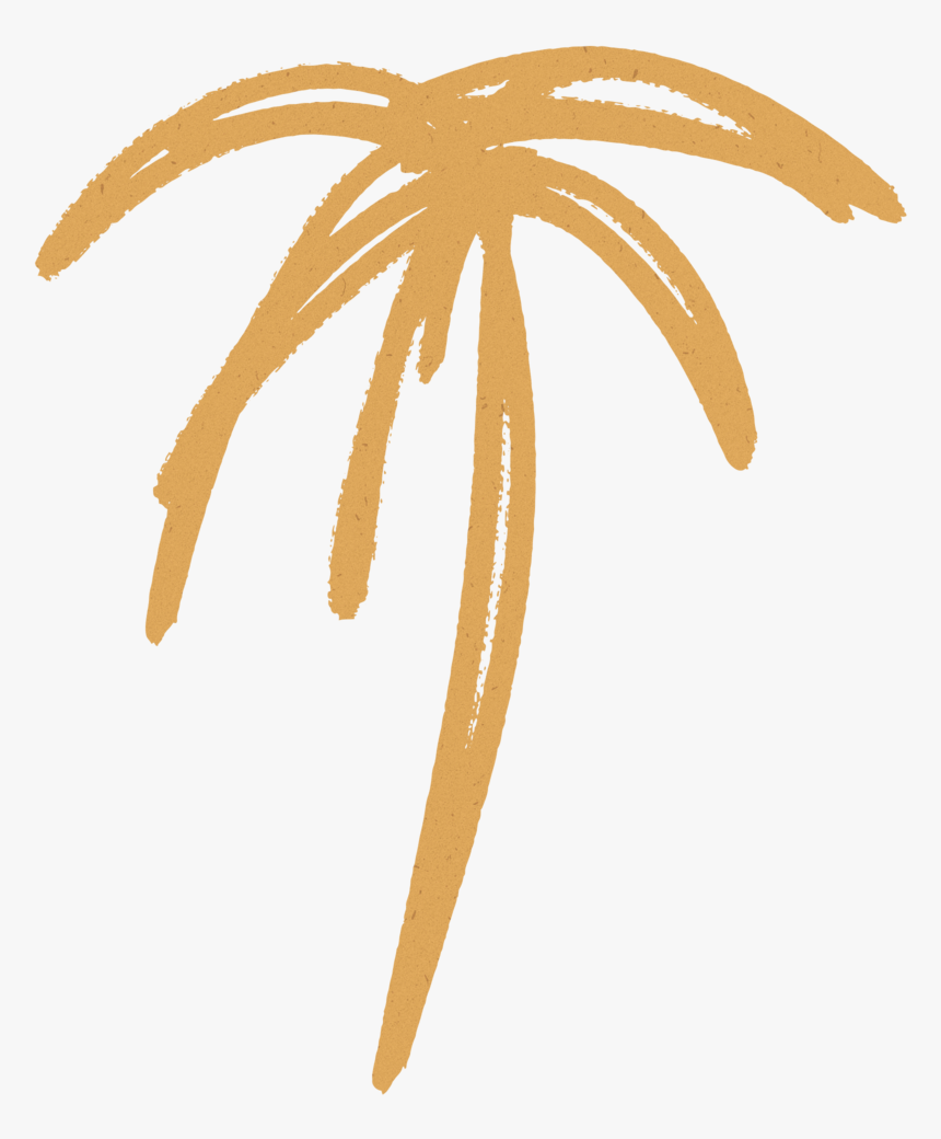 Palm Tree 4 Citrus Texture, HD Png Download, Free Download