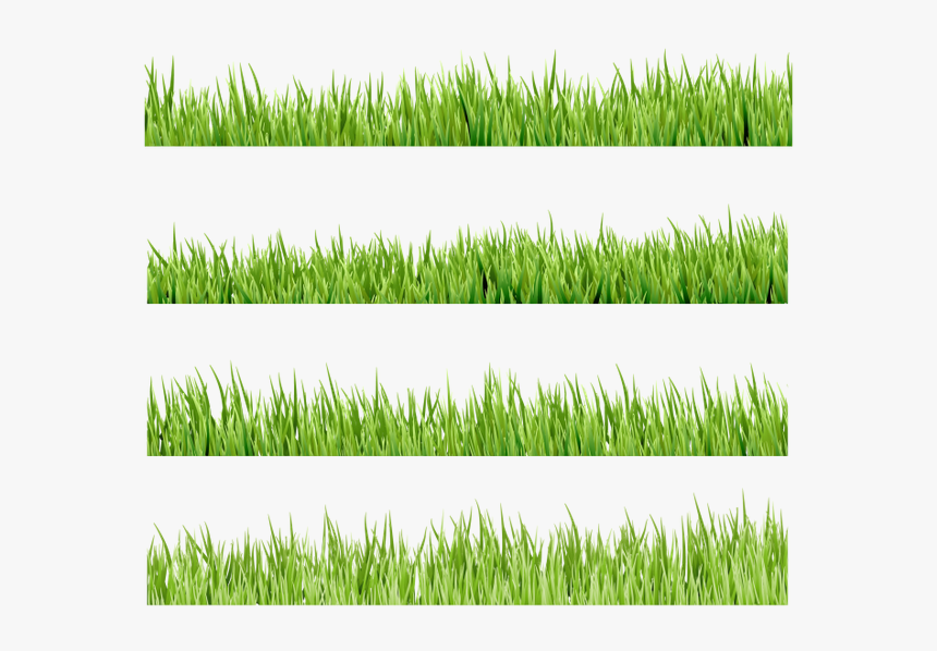 Флора, Зеленая Трава, Green Grass, Grünes Gras, Flore, - Illustration, HD Png Download, Free Download