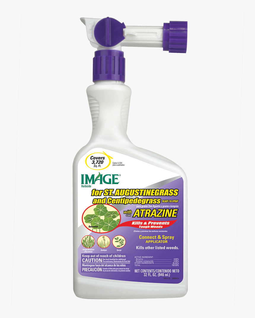 Grape, HD Png Download, Free Download
