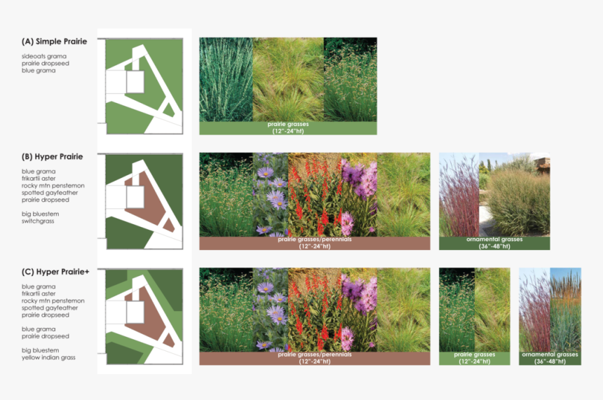 Roofdeckplanting, HD Png Download, Free Download