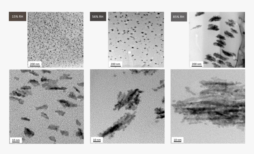 Ptpd Nanoparticle Aggregate Sizes - Monochrome, HD Png Download, Free Download