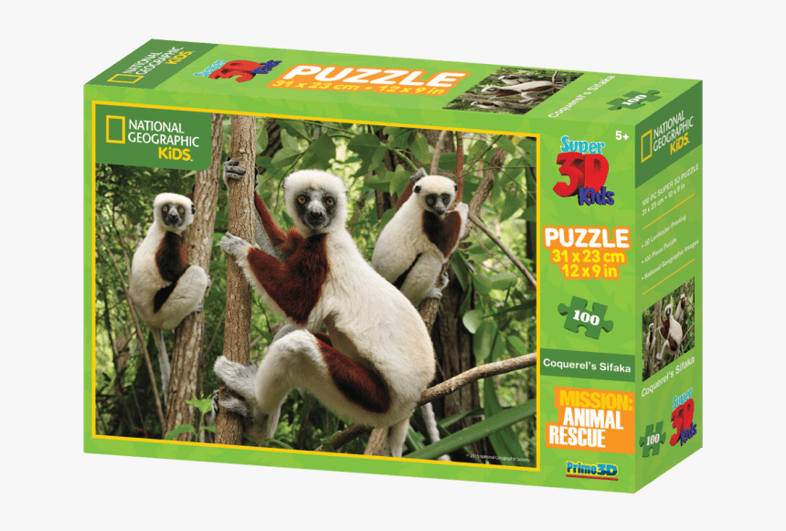 Lemur 3-d Puzzle - Analamazaotra Special Reserve, HD Png Download, Free Download