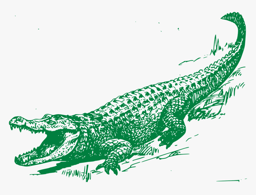 Crocodile White And Black, HD Png Download, Free Download