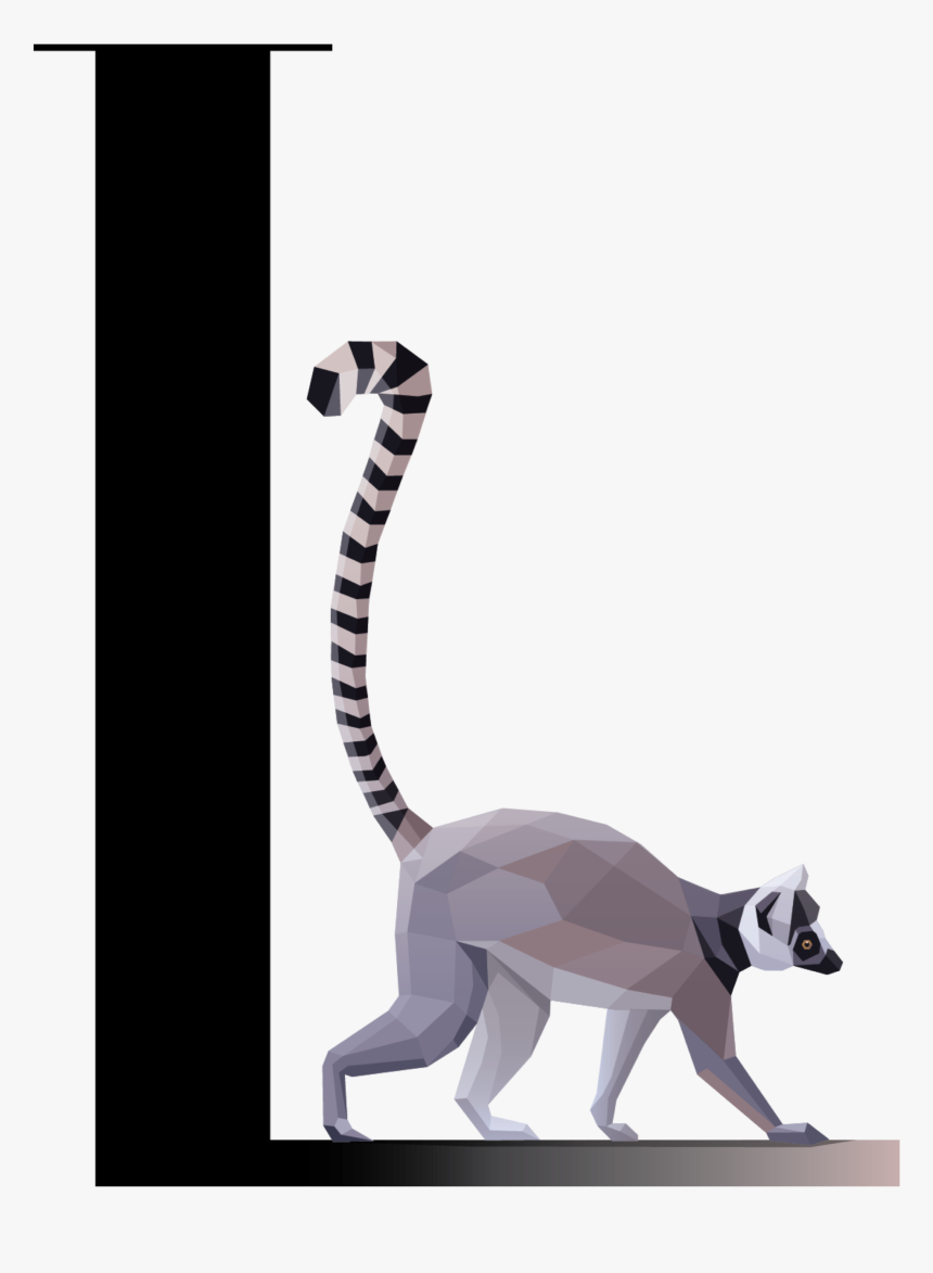 #natalya040 #l #lemur #freetoedit - Madagascar Cat, HD Png Download, Free Download