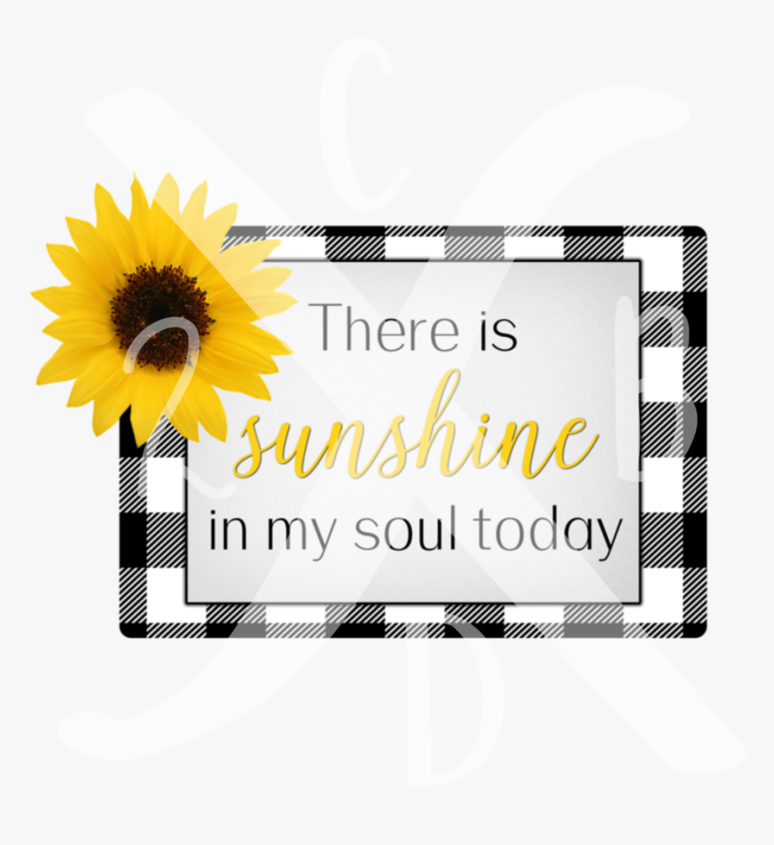 Sunshine, HD Png Download, Free Download