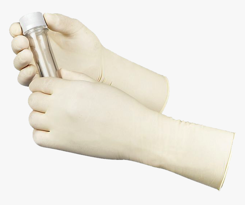 Canpaco Latex Gloves - Mannequin, HD Png Download, Free Download