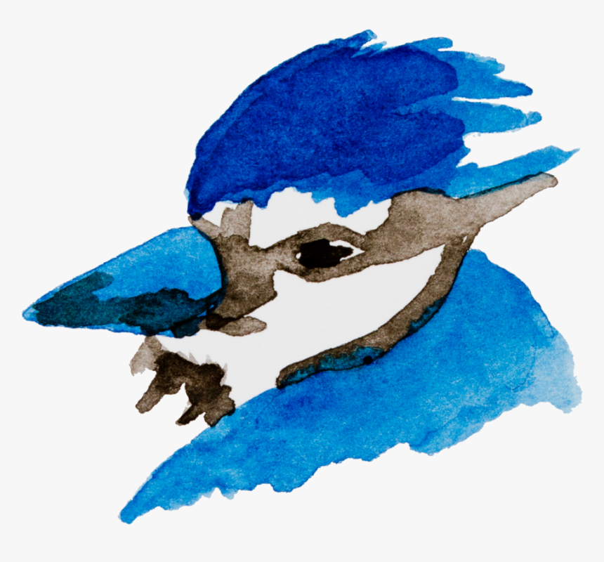 Bluejay Drawing Watercolor Graphic Royalty Free - Illustration, HD Png Download, Free Download
