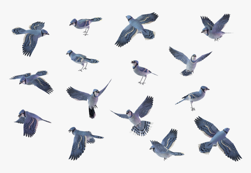 Flying Blue Jay Png - Blue Jay Flying Silhouette, Transparent Png, Free Download