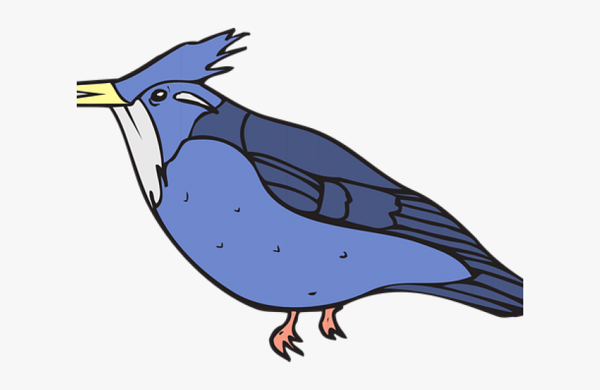 Blue Jay Clipart Bir - Kingfisher Coloring Page, HD Png Download, Free Download