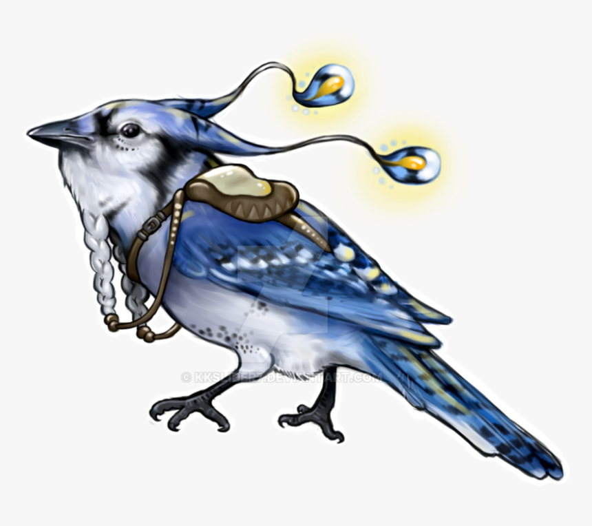Transparent Blue Jay Clipart - Drawing, HD Png Download, Free Download