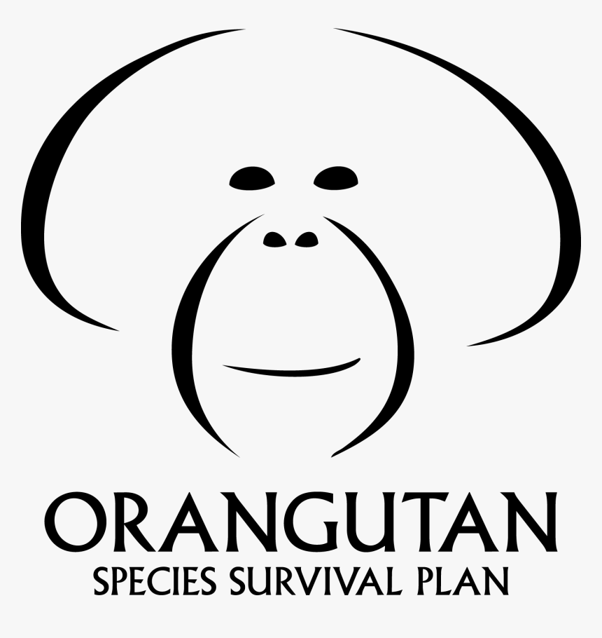 Orangutan Ssp, HD Png Download, Free Download