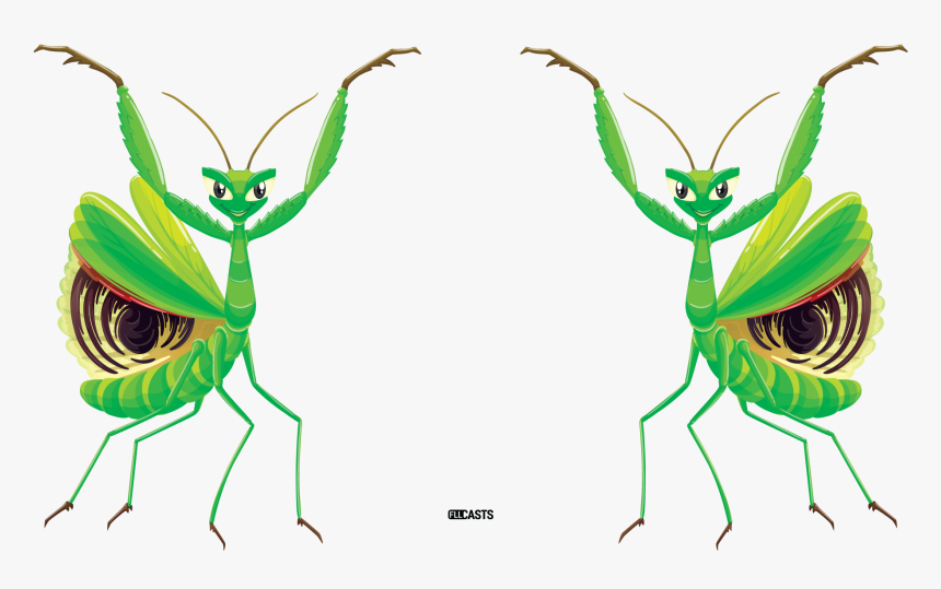 Mantis, HD Png Download, Free Download