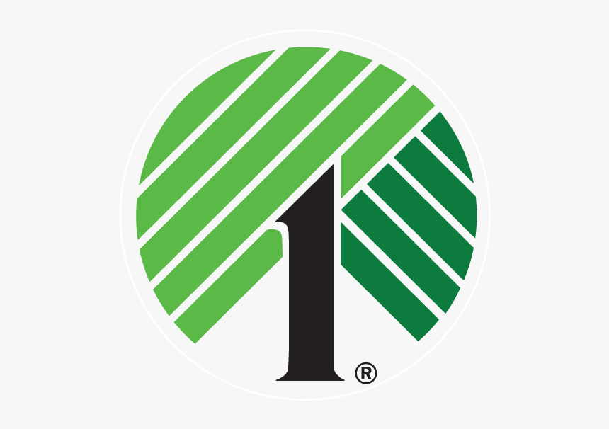 Dollar Tree Logo Png, Transparent Png, Free Download
