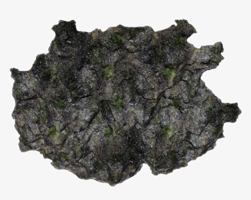 05 854k Moss Sc1 06 Feb - Igneous Rock, HD Png Download, Free Download