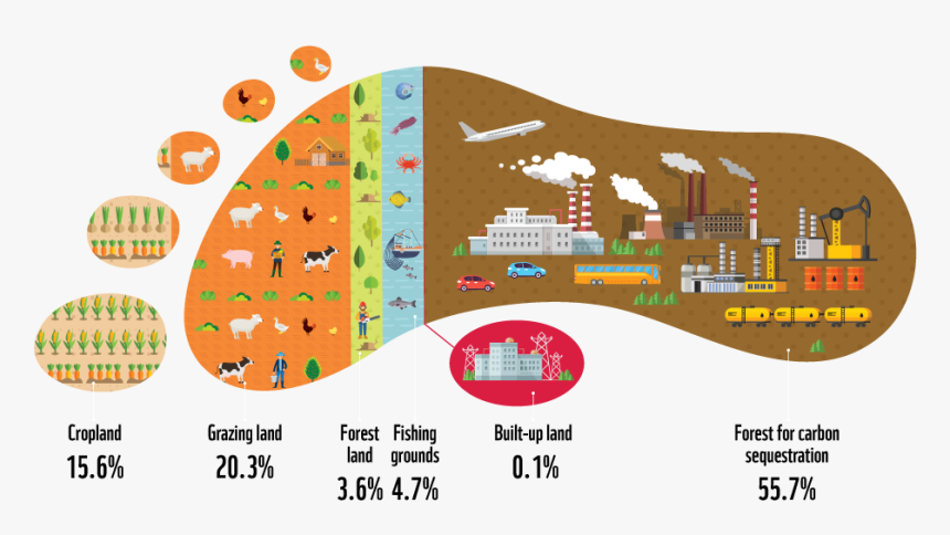 Hong Kong Ecological Footprint, HD Png Download, Free Download