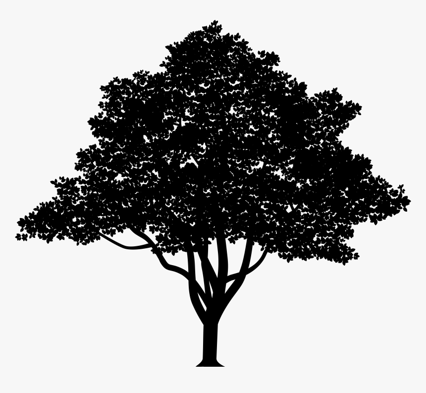 Vector Graphics Tree Royalty-free Clip Art Illustration - Clip Art, HD Png Download, Free Download