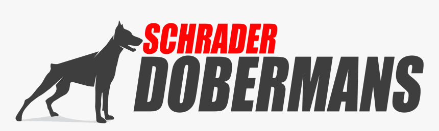 Schrader Dobermans - Parallel, HD Png Download, Free Download
