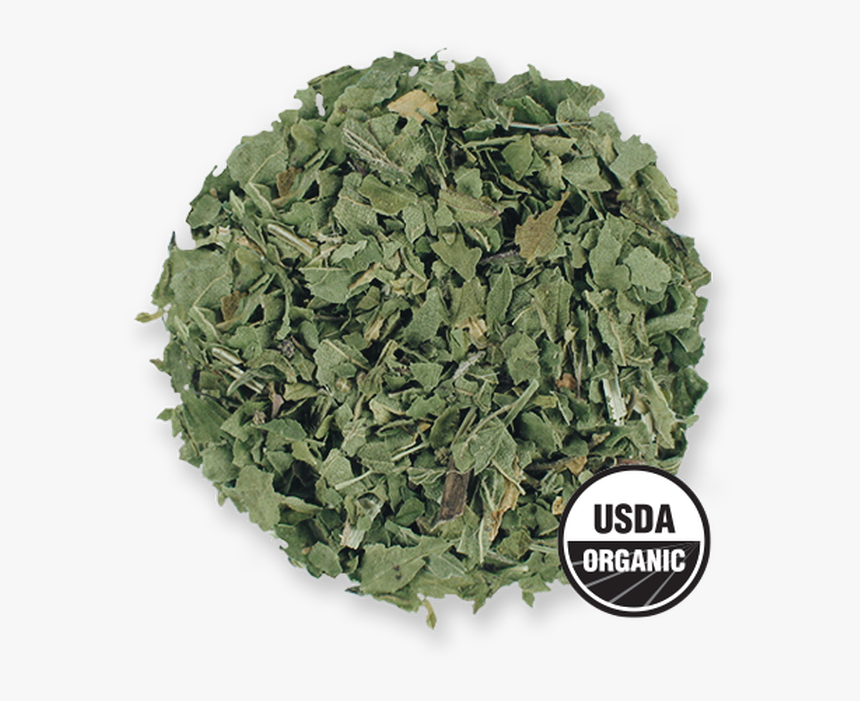 Organic Nettle Leaf From The Jasmine Pearl Tea Co - Common Sage, HD Png Download, Free Download