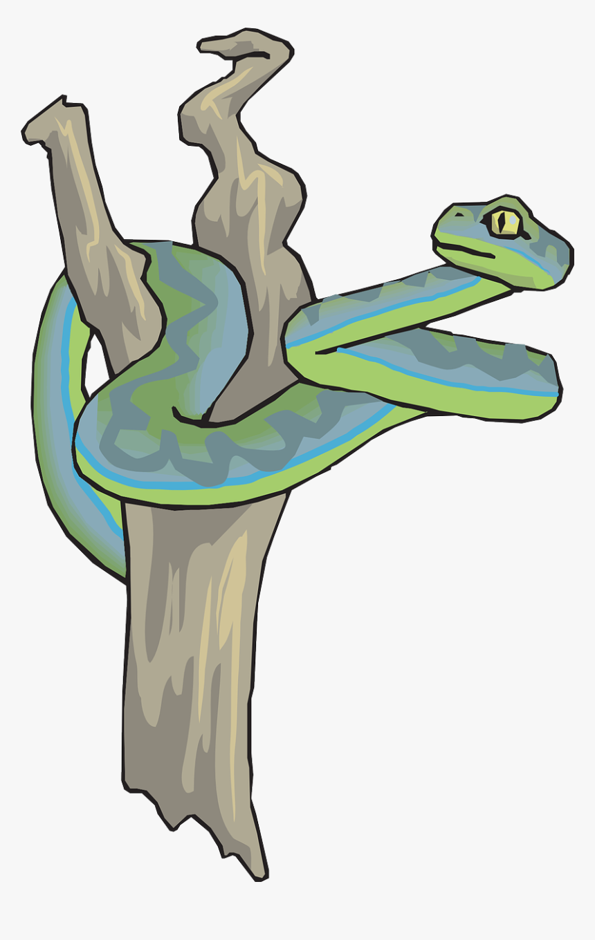 Snake In The Tree Clipart, HD Png Download, Free Download