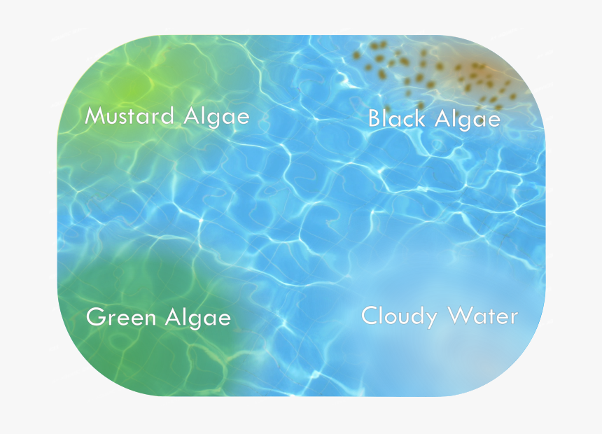 Cloudywatergraphic02 - Mustard Algae, HD Png Download, Free Download