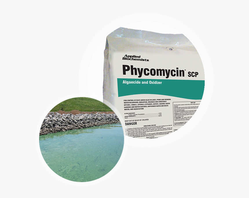 Phycomycin Algaecide With Toxic Algae Bloom - Ocean, HD Png Download, Free Download