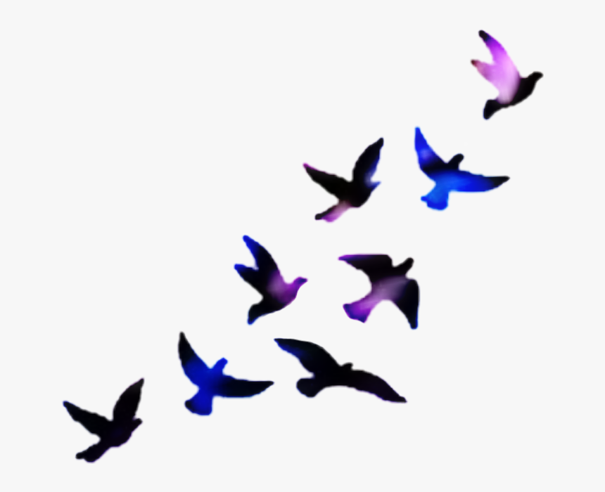 #palomas - Black Birds Tattoo Design, HD Png Download, Free Download