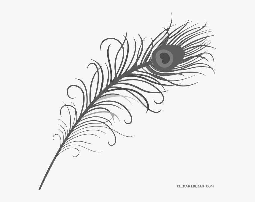 Feather Clipart Black And White - Png Format Peacock Feather Png, Transparent Png, Free Download